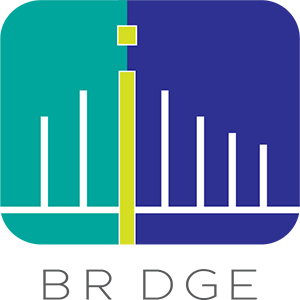 brdge_logo_grey